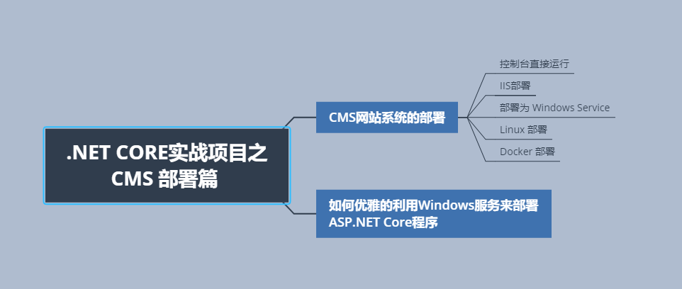 net core实战项目之cms 第十七章 cms网站系统的部署